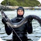 Подводная охота на угря в России